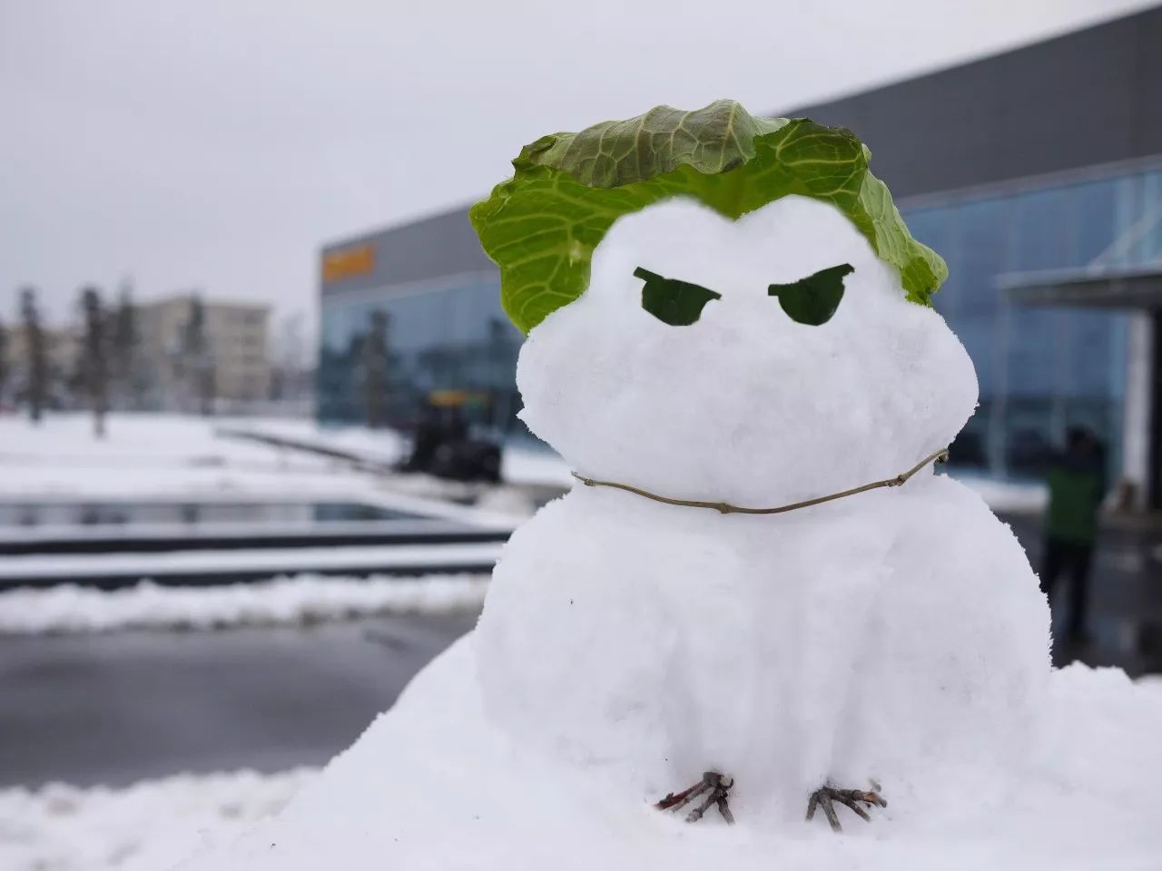 鸿运国际·(中国)集团-鸿运官网接待你